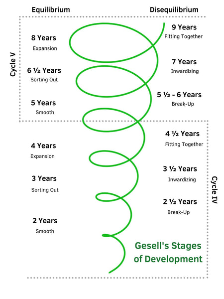 Gesell Developmental Schedule